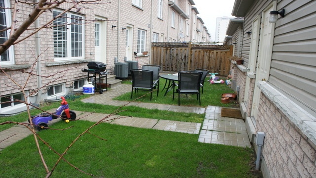 Backyard Before