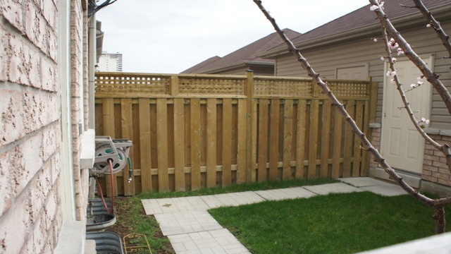 Backyard Before