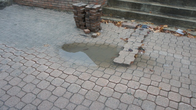 Standing water, this is bad